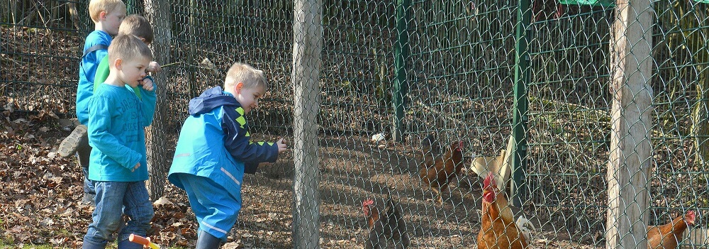 Kindergarten im Zauberwald