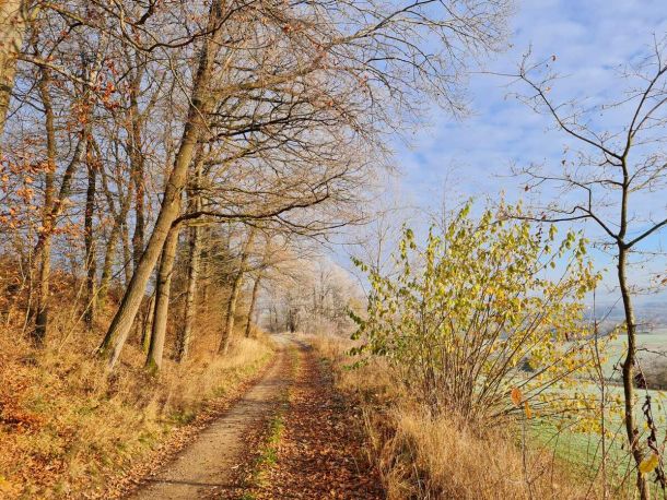 Panoramaweg D&uuml;nschede