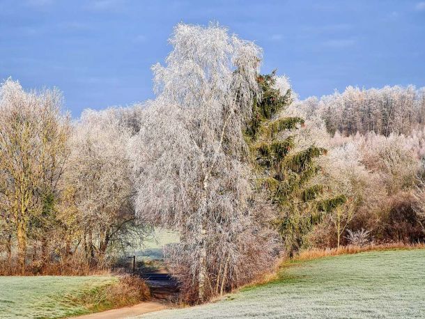 Wanderparkplatz H&ouml;lzchen